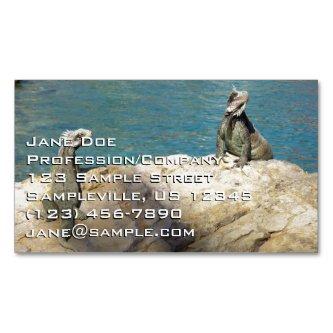 Pair of Iguanas Tropical Wildlife Photography  Magnet