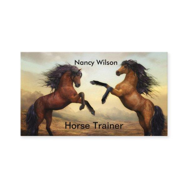 pair of wild horses