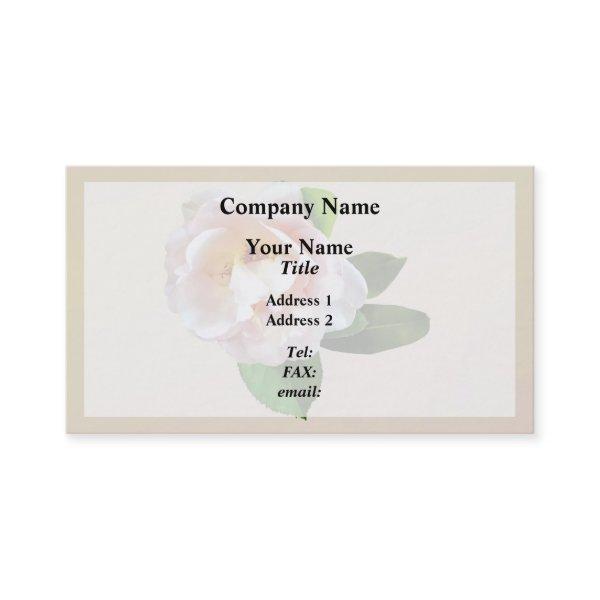 Pale Pink Camellia