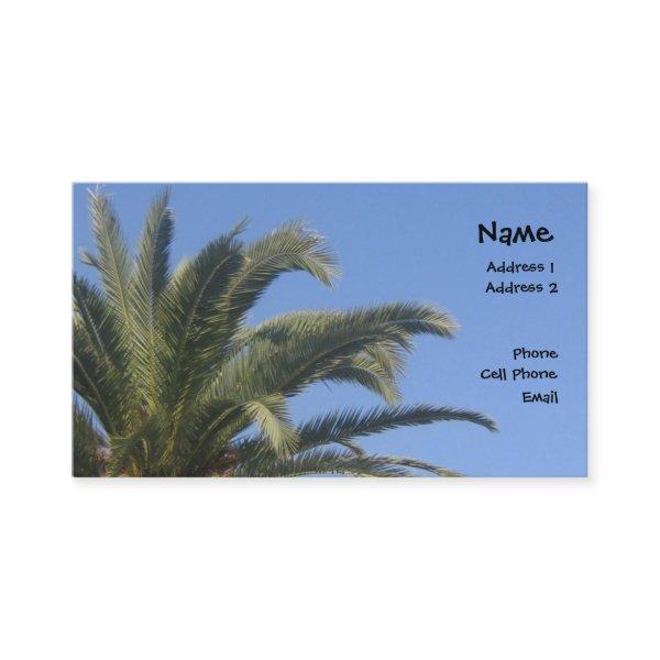 Palm Tree