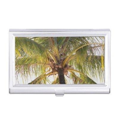 Palm Tree   Holder