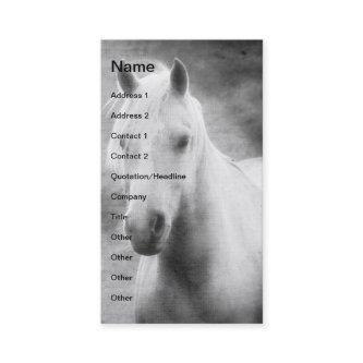 Palomino in Black and White