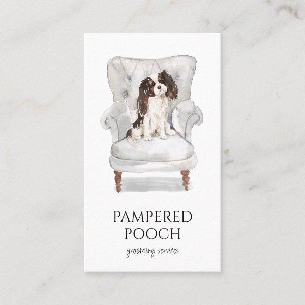 Pampered Pooch Dog Spa Grooming
