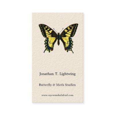 Papilio machaon - Old World Swallowtail Butterfly