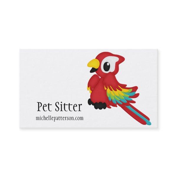 Parrot Bird Animal Pet Sitter