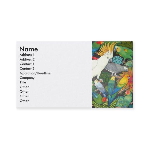 Parrots & Bromeliads Profile Card