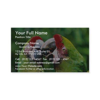Parrots