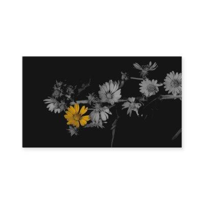 Partial Color Flower