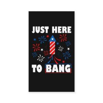 Patriotic Fireworks Director USA Celebration 4th o