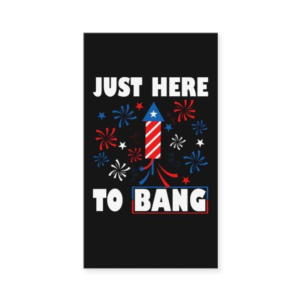 Patriotic Fireworks Director USA Celebration 4th o
