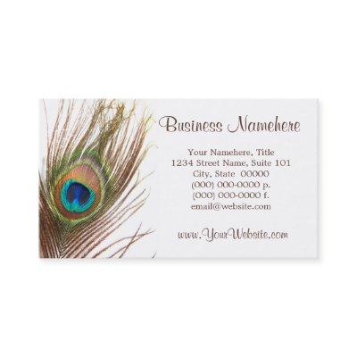 Peacock Feather