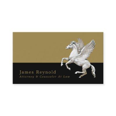Pegasus, Legal Professional
