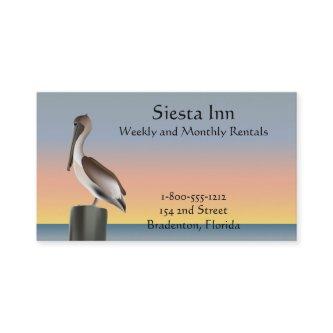 Pelican and Seagull Sunset