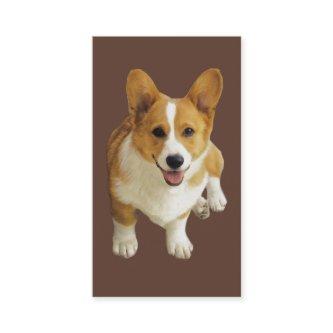 Pembroke Welsh Corgi Breeder