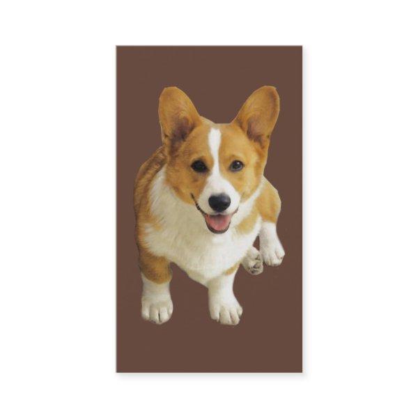 Pembroke Welsh Corgi Breeder
