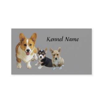 Pembroke Welsh Corgi Trio