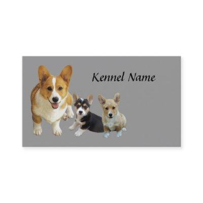 Pembroke Welsh Corgi Trio