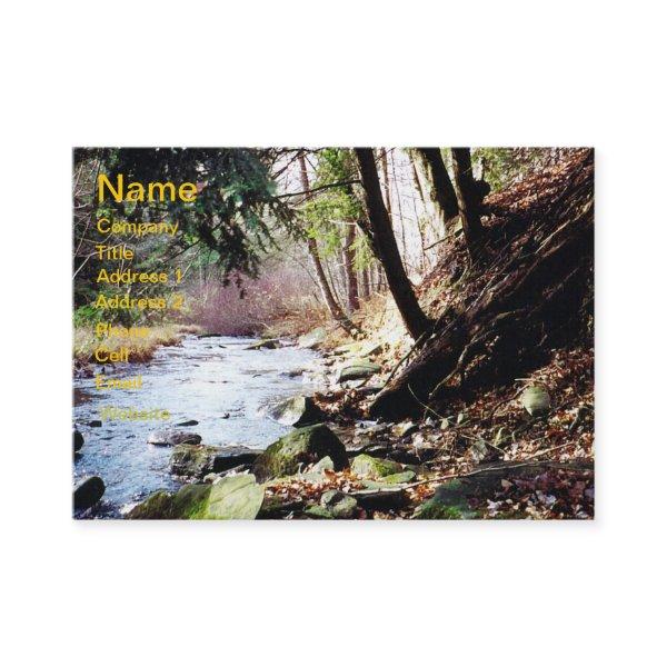 Pennsylvania Stream 02