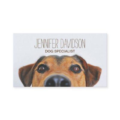Personalized Dog Trainer