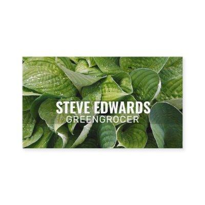 Personalized "Verdant Leaves" (American)
