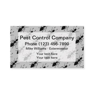 Pest Control Exterminating Service