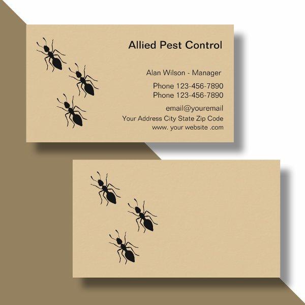 Pest Control Exterminating Services