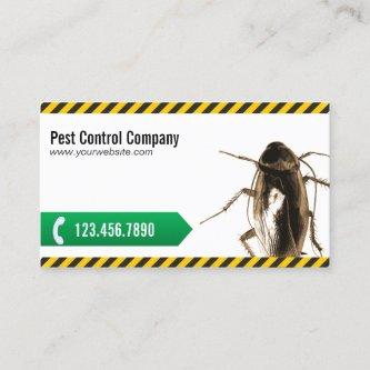 Pest Control Professional