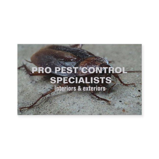 Pest Control Service Photo