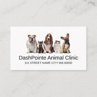 Pet Animal Clinic  Shelter Veterinary Business Car