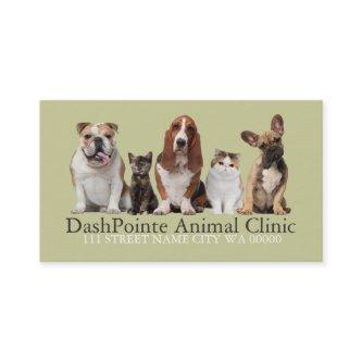 Pet Animal Clinic  Shelter Veterinary