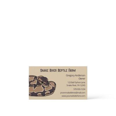 Pet Ball Python Snake Reptile Breeder