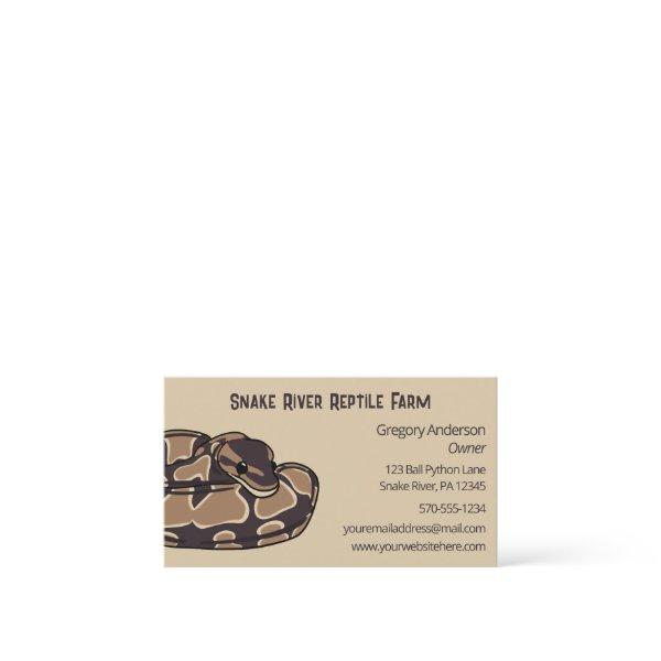 Pet Ball Python Snake Reptile Breeder