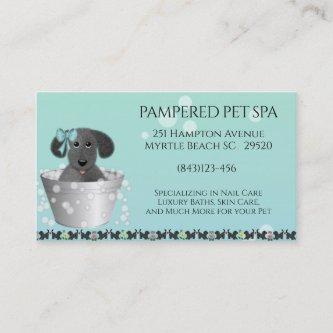Pet Groomer Appointment