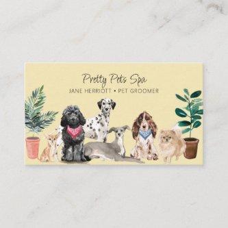 Pet Grooming Pet Spa
