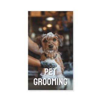 Pet Grooming Salon Care Boutique Terrier Portrait