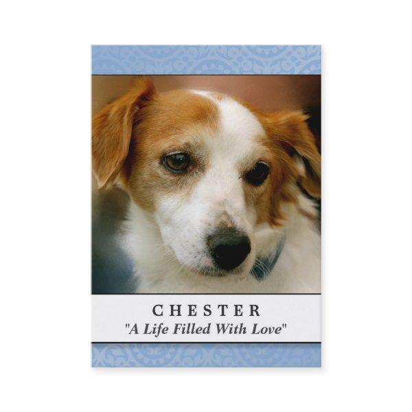 Pet Memorial Card Light Blue Contented Poem