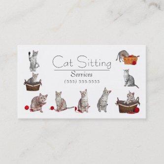 Pet or Cat Sitting