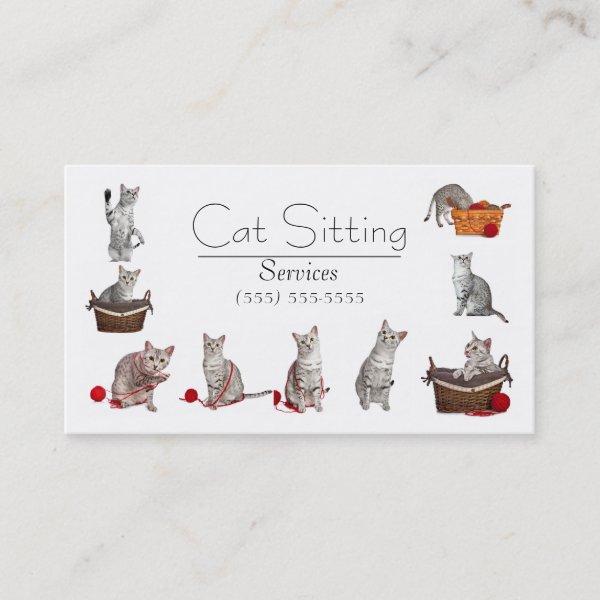 Pet or Cat Sitting