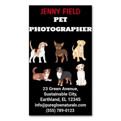 Pet Photographer Animal Folded