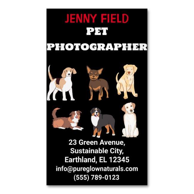 Pet Photographer Animal Folded