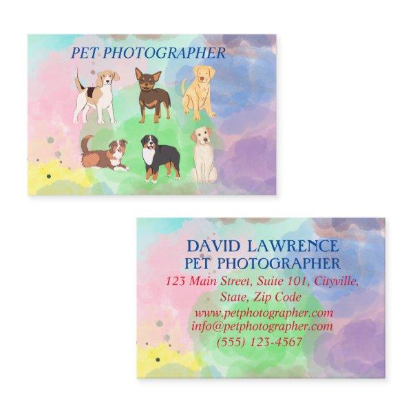 Pet Photographer- Dog Walker