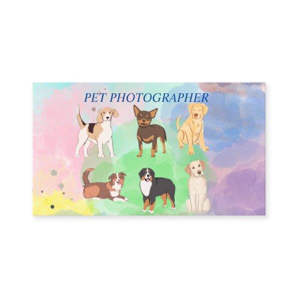 Pet Photographer- Pet Shelter