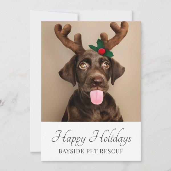 Pet Rescue Photo Christmas Holiday Card