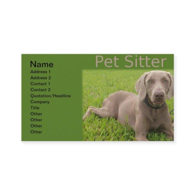Pet Sitter