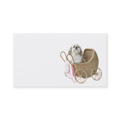 Pet sitter