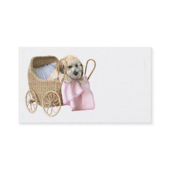 Pet sitter