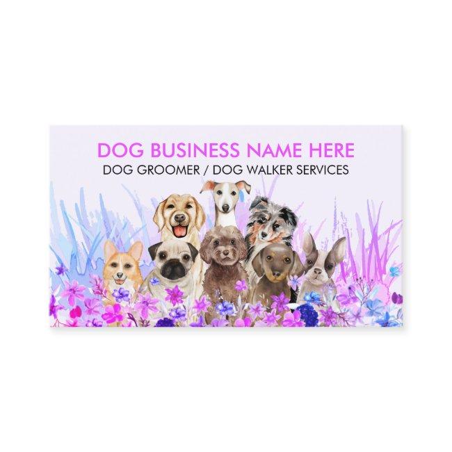Pet Sitter dog Walker pet grooming boutique rescue