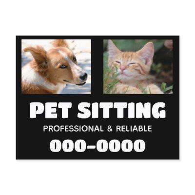 Pet Sitting business with dog and cat photos Postcard