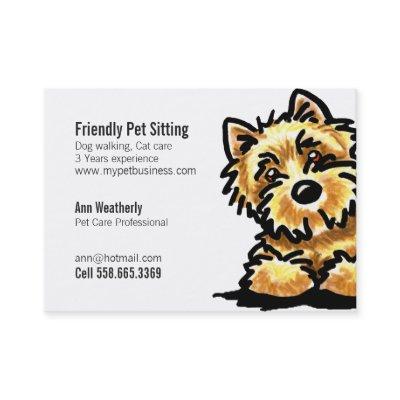 Pet Sitting Cairn Terrier Clean Friendly