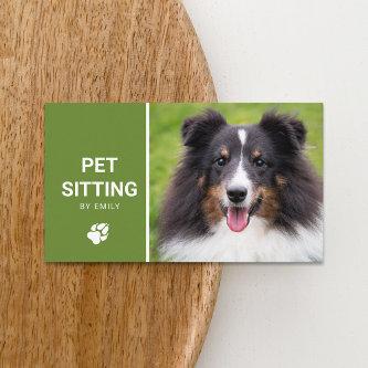 Pet Sitting Dog Service Happy Sheltie Dog Photo